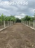 Bán Lô Đất Vườn Có Thổ Cư Tại Diên Khánh, Khánh Hoà - ảnh 1