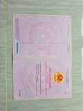 Hot Hot - Cần Bán Lô Đất  Trồng Cây Lâu Bán Tại Ấp Cây Sộp, Tân An Hội, Huyện Củ Chi, Hcm - Ảnh 2