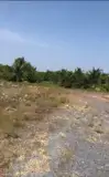Đất Chính Chủ - Bán 12.000M2 Đất Lúa - 2 Mặt Tiền Châu Thị Kim, An Vĩnh Ngãi, Tp Tân An - Ảnh 1