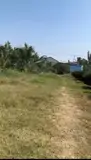 Đất Chính Chủ - Bán 12.000M2 Đất Lúa - 2 Mặt Tiền Châu Thị Kim, An Vĩnh Ngãi, Tp Tân An - Ảnh 4