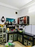 Tân Bình - Sát Lý Thường Kiệt - 78M - 10Pn Cho Thuê - 11 Tỷ - Ảnh 4