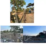 Chính Chủ Cần Bán 2 Lô Đất Vị Trí Đẹp Xã Mỹ Lộc, Huyện Cần Giuộc, Long An - Ảnh 3