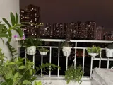 Tòa N2 Hoàng Minh Giám 59M 2Pn 2Wc Full Nội Thất Mới Đét, 5.75 Tỷ - Ảnh 4