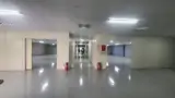 Nhà Xưởng 1000M2 Tầng 2 Tại Kcn Quang Minh. Hà Nội - Ảnh 1
