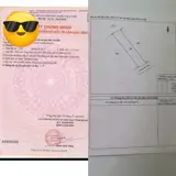 * Bán Đất Trung Tâm An Viễn – Vị Trí Đẹp, Đường Rộng, Kinh Doanh Sinh Lời - ảnh 5