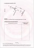 Chính Chủ Bán Lô Đất Mặt Tiền Đường Dt785 Ấp Hội Thắng, Xã Tân Hội, Tây Ninh - Ảnh 2