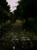 Bán 300M² Đất Đông Hòa,Shr Đường Nhựa 2 Ô Tô Thông,Gần Bigc Go Dĩ An - Ảnh 5