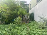 Hàng Kín – Đất Hiếm Full Thổ Cư 383M² – Đông Hưng Thuận 17, Q12 - Ảnh 4