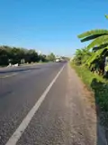 Đất Đẹp – Giá Tốt – Chính Chủ Bán Tại Đường Quốc Lộ 57, Xã Bình Hoà Phước, Long Hồ, Vĩnh Long - Ảnh 3