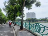 Mặt Phố Kinh Doanh - Dòng Tiền Khủng - Tây Hồ - Vip - Ảnh 1
