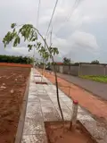 800M Đường Nhựa Vỉa Hè . Khu Dân Cư . Có 80 Thổ Cư Tại Nghĩa Thành . Giá Chỉ 1Ty - ảnh 1