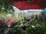 Bán Nhà Diên Toàn-Diên Khánhdt: 188M2 Giá Bán: 3,3Tỷ Có Thương Lượng - Ảnh 3