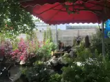 Bán Nhà Diên Toàn-Diên Khánh-Dt: 188M2 Ngang 8M Nở Hậu-Hướng Bắc-Hiện Trạng Đường 6M Ô Tô Né - ảnh 1