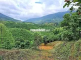 Đất Đẹp  - Giá Đầu Tư –Chính Chủ  Cần Bán  Lô Đất  Tại Thôn 10, Xã Lộc Nam, Bảo Lâm, Lâm Đồng - Ảnh 2
