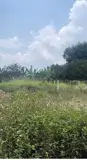 Đất Đẹp - Đầu Tư Sinh Lời - Chính Chủ Cần Bán Lô Đất Bình Lợi, Vĩnh Cửu, Đồng Nai - Ảnh 2