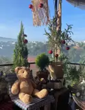 Gia Chủ Cần Bán Căn Homestay Bảo Lộc - Phường 1, Cách Đường Nguyễn Văn Cừ 200M - Ảnh 4