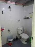 Siêu Tài Sản Dòng Tiền – 177M² Đất Full Thổ, 22 Phòng Trọ Cho Thuê Ổn Định! Cách Biên 500M - ảnh 5