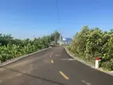Nhà Vườn 2000Mv Trái Cây Sẳn Mt Nhựa Giá 4Ty5 Thương Lượng - Ảnh 3