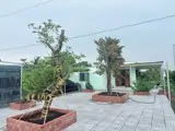 Nhà Vườn 2000Mv Trái Cây Sẳn Mt Nhựa Giá 4Ty5 Thương Lượng - Ảnh 2