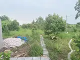Nhà Vườn 2000Mv Trái Cây Sẳn Mt Nhựa Giá 4Ty5 Thương Lượng - Ảnh 4