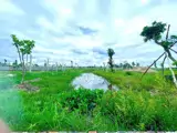 * Bán Đất Nghỉ Dưỡng Trung Tâm Gò Dầu – Cơ Hội Đầu Tư Sinh Lời Tại Tây Ninh - Ảnh 4