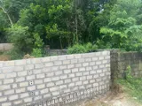 Đất Đẹp Đầm Rái 278.1M² Chỉ 1,3 Tỷ, View Thoáng Mát, Pháp Lý Rõ Ràng - Ảnh 5