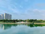 Bán Biệt Thự Nam Cường Tại Hà Đông Gần Công Viên – Giá Tốt Hơn Cđt 10 Tỷ - ảnh 4