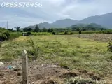 Bán 1.800Mét Đất Để Phân Lô Cho Nhà Đầu Từ Tại Khánh Hoà - ảnh 3