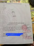 Chính Chủ Bán Nhanh Lô Đất Đấu Giá - Xã Tiên Lục, Lạng Giang, Bắc Giang - Ảnh 4