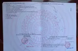 Đất Đẹp - Đầu Tư Sinh Lời - Chính Chủ Bán Đất Xã Long Thuận, Gò Công, Tiền Giang - Ảnh 3