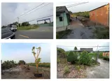 Chính Chủ Bán Nhà Vườn - View Sông - Tại Xã Thạnh Hòa, Huyện Bến Lức, Tỉnh Long An - Ảnh 3