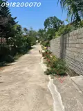 Chính Chủ Cần Bán Nhà Đang Ở Tại Bảo Lộc, Lâm Đồng - Ảnh 3