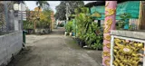Bán Nhà Cấp 4 - P. Hiệp Hoà-0909808615 - Ảnh 2