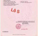 1000M . Có 80 Thổ Cư . Ngang 11 Sâu 83 2Mt Trước Sau - ảnh 5