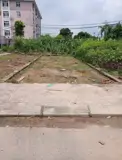 Cần Bán Gấp 62.8M Đất Đấu Giá Lai Xá, Phân Lô Oto, Giá Đầu Tư - Ảnh 2