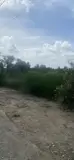 Bán Gấp Lô Đất Tiềm Năng Vị Trí Siêu Víp Tại Trung Tâm Sầm Uất Bật Nhất Của Nhơn Trạch, Đồng Nai - Ảnh 3