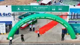 Ngọc Lục Bảo Vườn Tầm Nhìn – Khu Vườn Bích Ngọc Trong Trái Tim Thành Phố - Ảnh 2