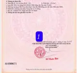 Chỉ 355Tr Có Ngay Lô Đất Đường Nhựa Tại Quảng Thành - Châu Đức Cũ - ảnh 4