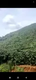 Đất Đẹp – Giá Tốt – Chính Chủ  Cần Bán  Nhanh  Lô Đất  Tại Thôn 5 ,Tân Lâm, Di Linh, Lâm Đồng - Ảnh 2
