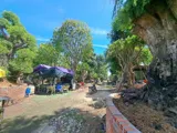 Bán Đất Khủng 2.840M² Mặt Tiền Bùi Công Trừng, Nhị Bình, Hóc Môn Giá Đầu Tư ‼ - Ảnh 4