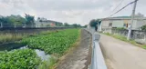 Siêu Lô Đất Lớn Mặt Tiền Rạch An Phú Đông 9, Q12  2.000M² Thổ Cư 1.700M² – Vị Trí Cực Hiếm! - Ảnh 3