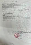 Vị Trí Đắc Địa - Đầu Tư Sinh Lời - Cần Bán Lô Đất Mặt Tiền Xã Tân Xuân, Hóc Môn, Hcm - Ảnh 5