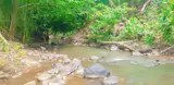 Anh Chị Cần  Đất Vườn View Suối Nghĩ Dưỡng ⛔ Vị Trí Lô Đất Thuộc Xã Bầu Lâm - Thành Phố Hồ Chí - Ảnh 5
