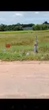 Đất Đẹp – Giá Tốt  - Cần Bán Lô Đất Vị Trí Đẹp  Tại Xã Long Khánh Huyện Bến Cầu Tây Ninh - Ảnh 3