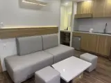 Bán Tòa Căn Hộ 2 Mặt Tiền Gần Biển Nguyễn Tất Thành – 5 Căn Hộ Đang Khai Thác – Giá 13.2 Tỷ! - ảnh 3
