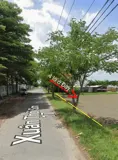 Ccg Bán 4 Lô Đất Lúa Mặt Tiền Nhựa – Đường Xuân Thới Sơn 17, Hóc Môn - Ảnh 2