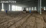 Cho Thuê Nhà Xưởng 8.300M² – 16.000M² – 50.000M² Trong Kcn Bình Dương  Pccc Tự Động – Điện 2.000Kva - Ảnh 2