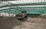 Cho Thuê Nhà Xưởng 8.300M² – 16.000M² – 50.000M² Trong Kcn Bình Dương  Pccc Tự Động – Điện 2.000Kva - Ảnh 3