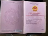 Đất Đẹp – Giá Đầu  Tư  – Chính Chủ Cần Bán Lô Đất Vị Trí Đẹp Tại Xã Quảng Trạch, Quảng Xương, Thanh - Ảnh 1