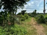 Đất Đẹp – Giá Đầu  Tư  – Chính Chủ Cần Bán Lô Đất Vị Trí Đẹp Tại Khánh Xuân, Buôn Ma Thuột - Ảnh 2